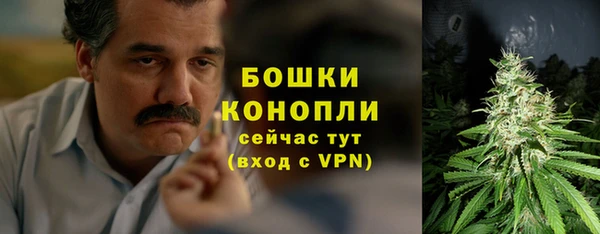 дурь Новодвинск