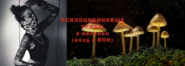 дурь Новодвинск