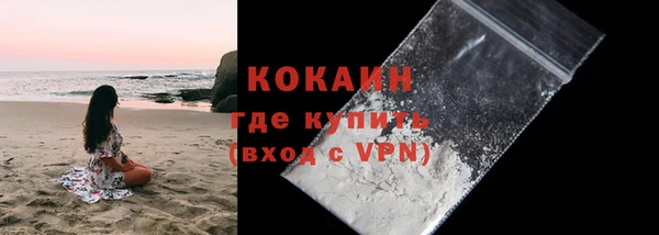 дурь Новодвинск