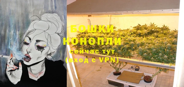 дурь Новодвинск
