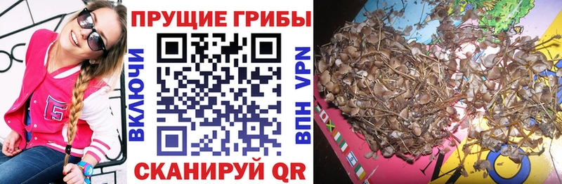 Псилоцибиновые грибы GOLDEN TEACHER  купить наркотики цена  Алушта 