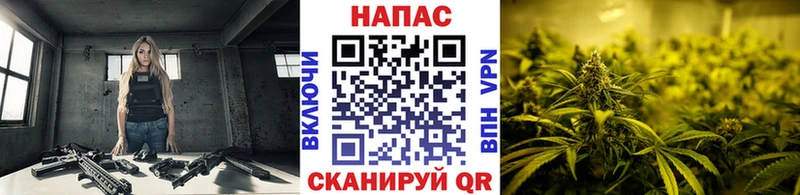 Бошки Шишки AK-47  Алушта 
